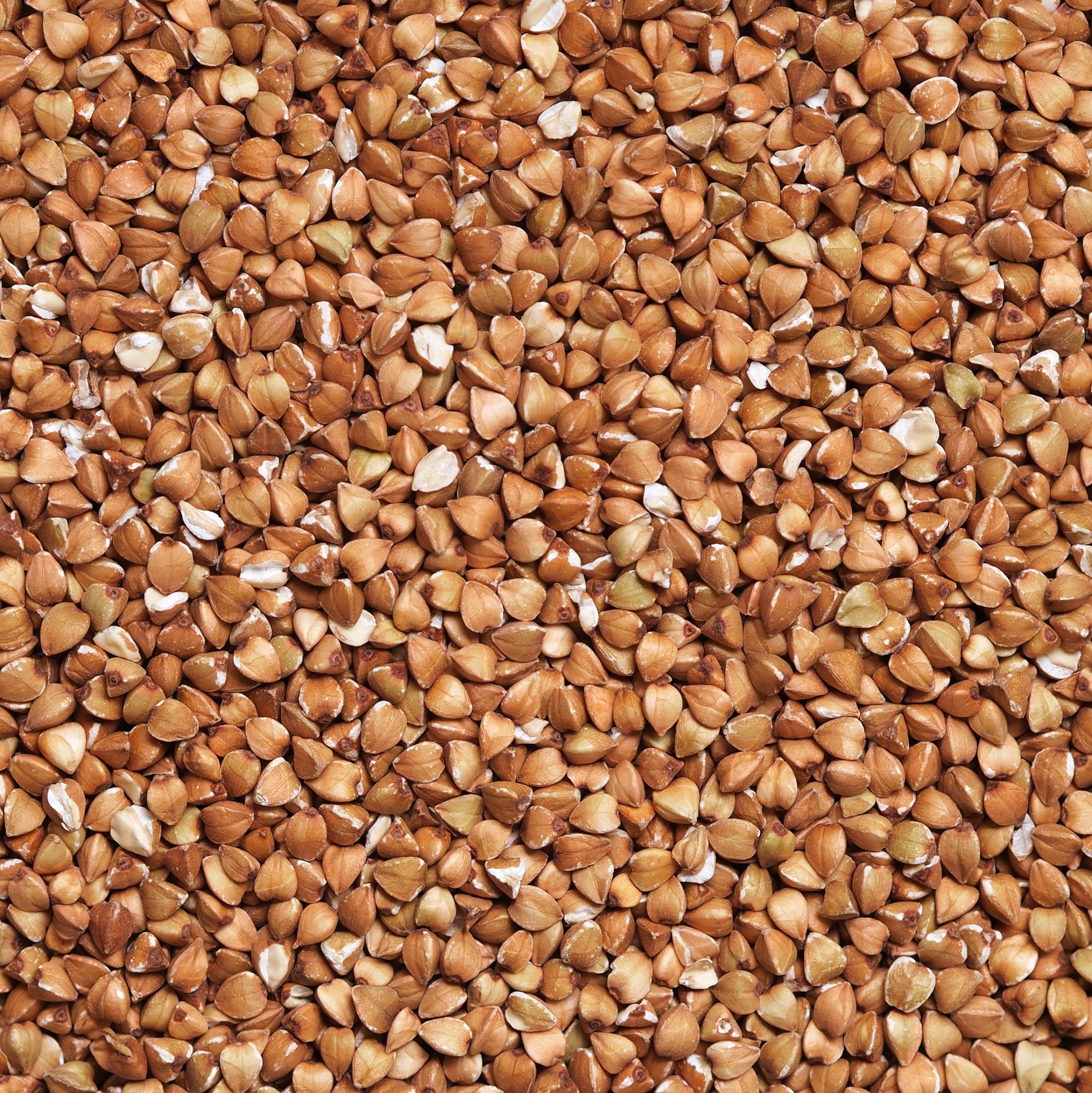 Une photo représentant des graines de sarrasin en vrac